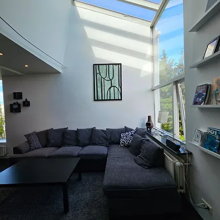 Loft - Center Apartment Reykjavik
